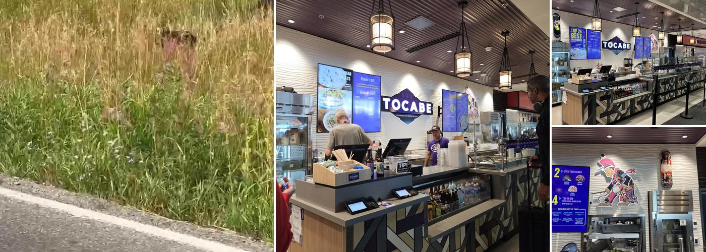 Tocabe