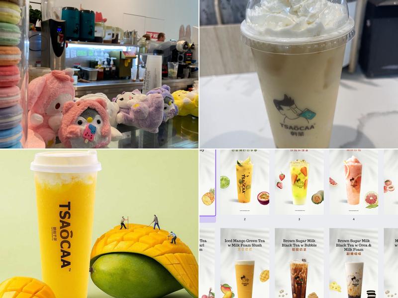 TSAoCAA 5220 Fashion Outlets Way Suite 8030, Rosemont