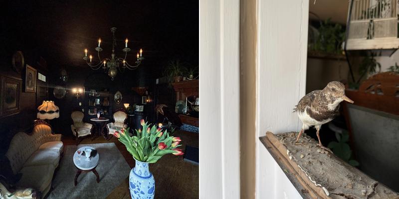 Rosa's 201 W Maple Ave, Fayetteville