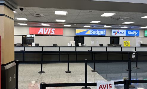 Avis Car Rental