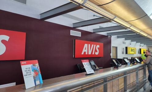 Avis Car Rental