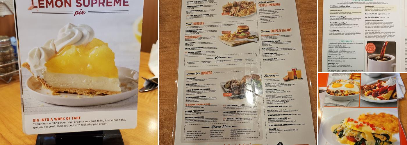 Village Inn Menu