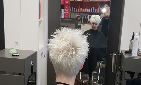 Fantastic Sams Cut & Color Surprise