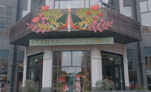 Anthropologie