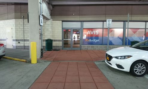 Avis Car Rental