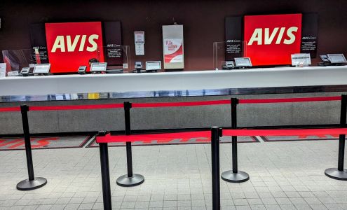 Avis Car Rental