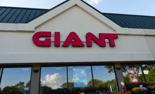 GIANT Springfield