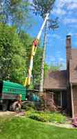 Arms Affordable Tree Service