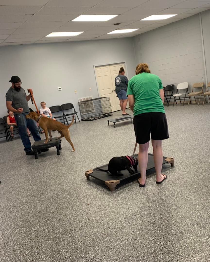 Canine Crossroads (Perfect Pet) Bluffton