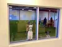 Ruff House | Dog Boarding, Day Care, Indoor Dog Park