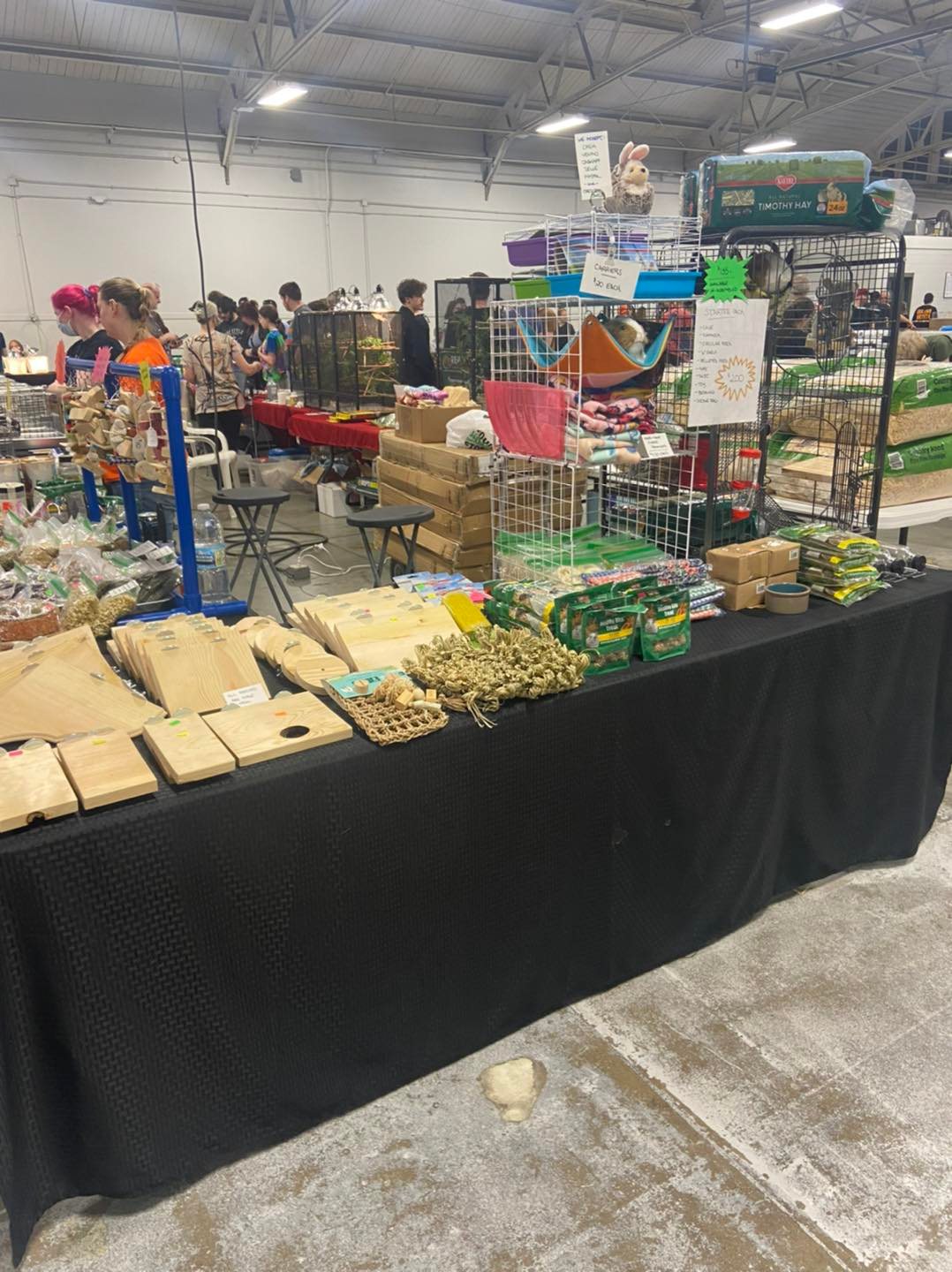 NWI Chinchillas Hammond