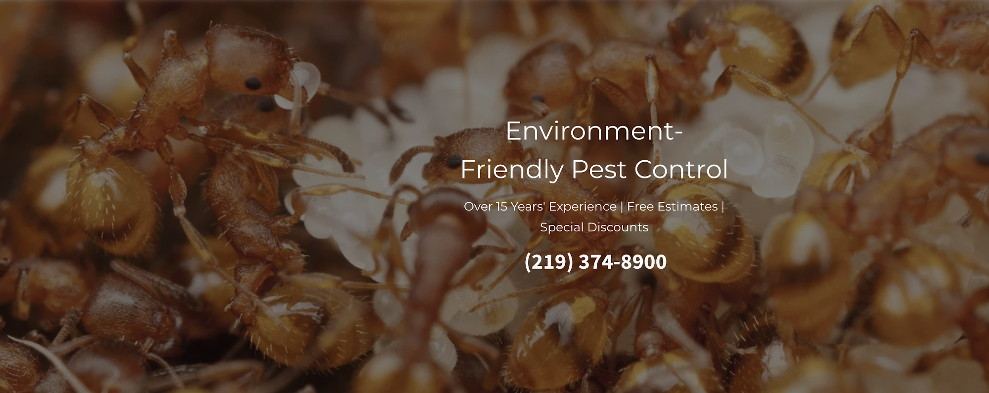 Tree Hugger Pest Control - Hammond