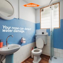 SERVPRO of Eastern Lake County