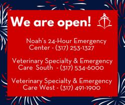 Veterinary Specialty & Emergency Care South - OPEN 24 HOURS
