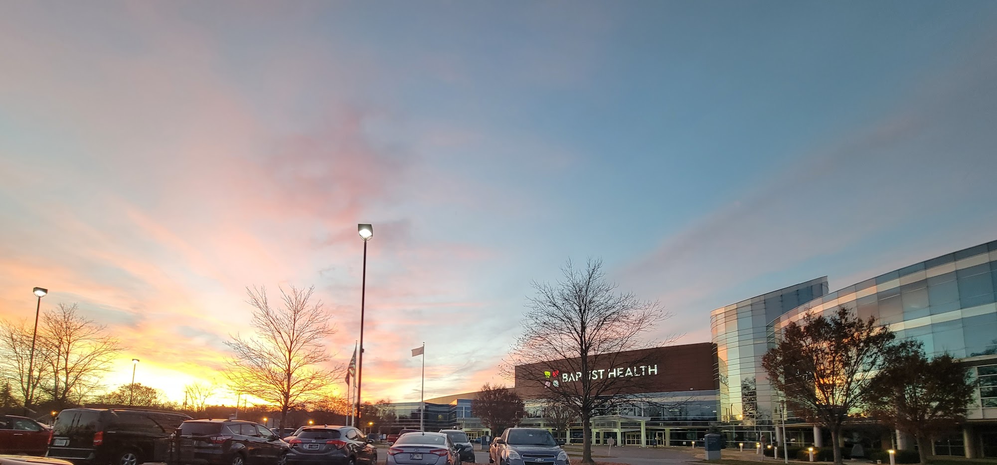 A. David Slater M.D.