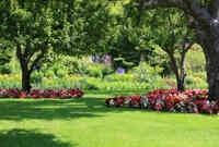 Ardon Lawns & Landscapes LLC - Residential Landscaping Service Bowling Green KY, Landscaper, Landscape Maintenance
