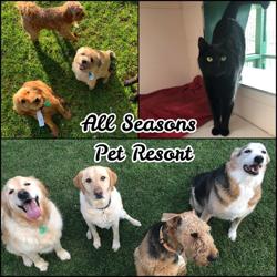 All Seasons Pet Houses