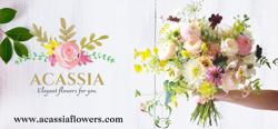 Acassia Wholesale Flowers