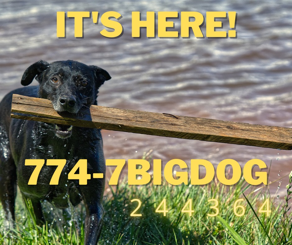 Big Dog Plumbing 250 Cape Hwy, East Taunton Massachusetts 02718