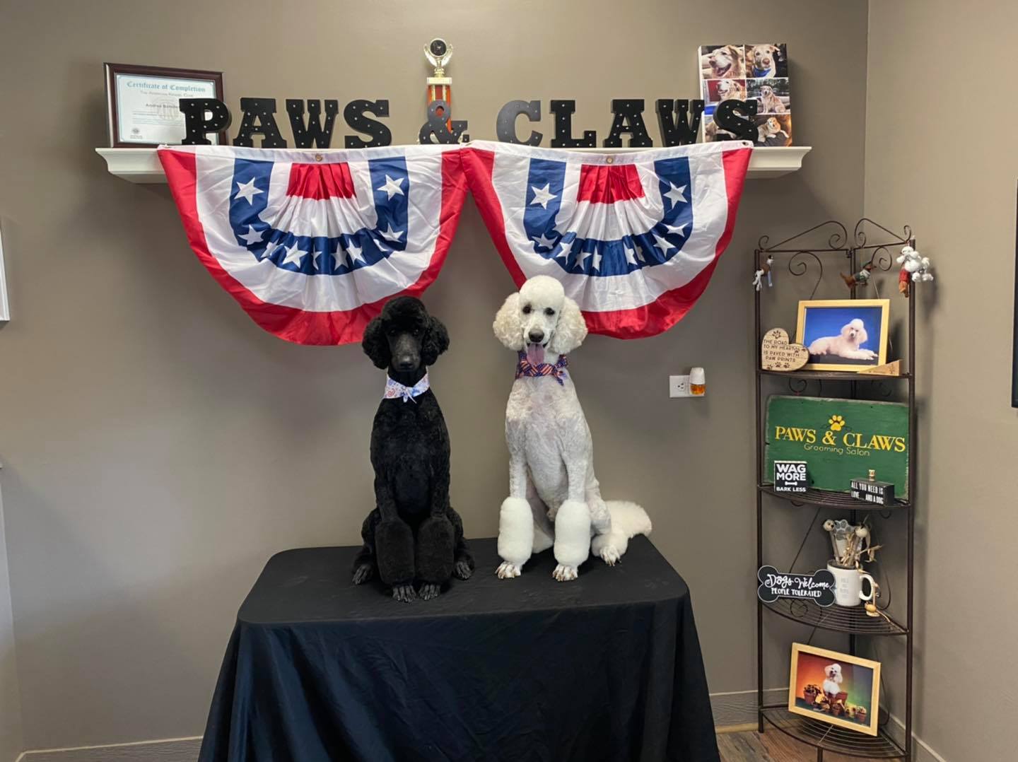 Paws & Claws Grooming Salon inc 48 Gardner Rd Suite 2D, Hubbardston Massachusetts 01452