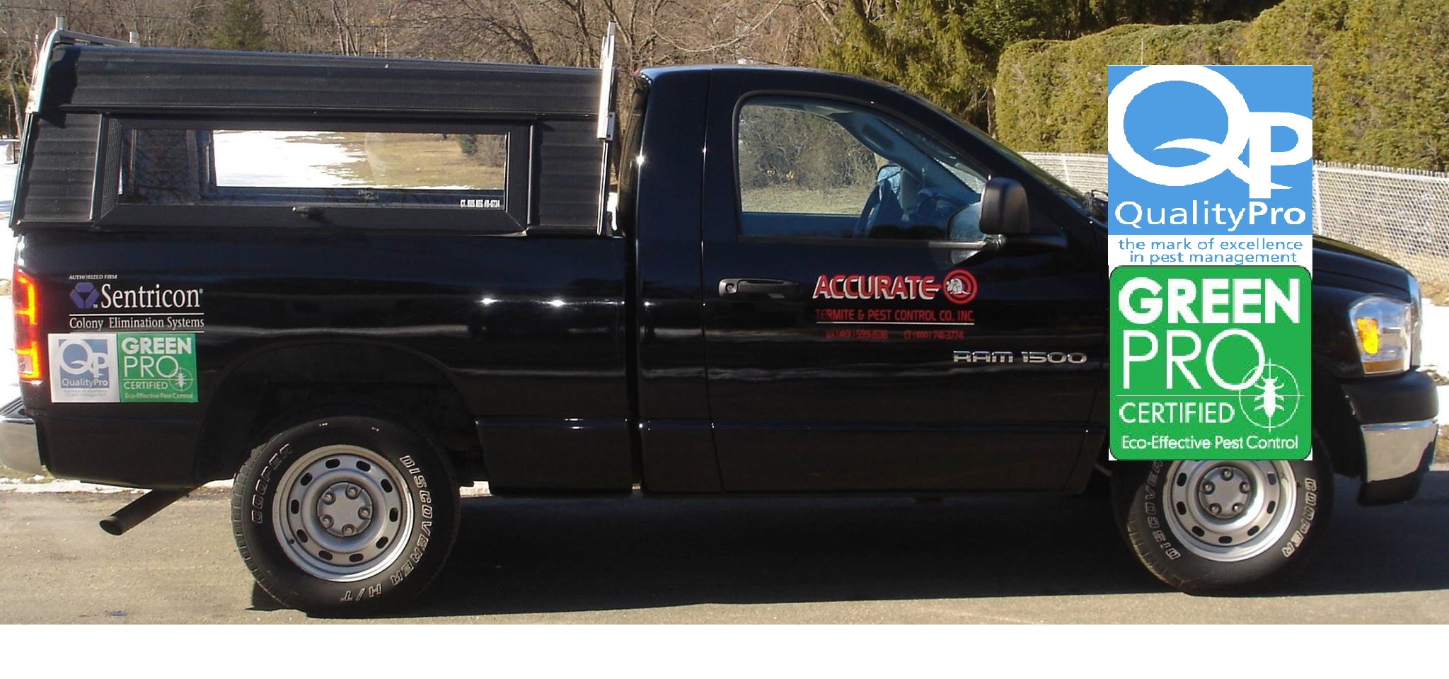 Accurate Termite & Pest Control