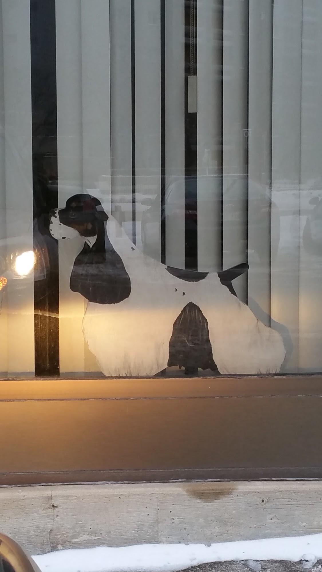 Diamond Edge Dog Salon Winnipeg