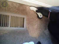 Hippo Carpet Cleaning of Perry Hall
