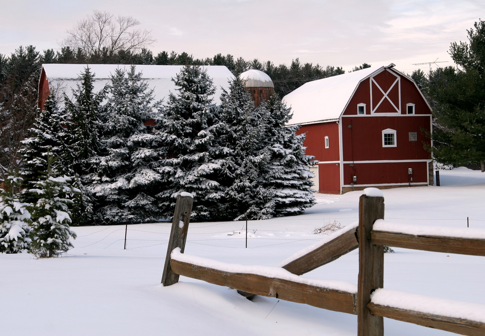 FAMILY FARM & HOME - Alma MI - Hours, Directions, Reviews - Loc8NearMe