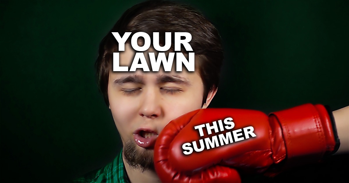 Custom Lawn Care