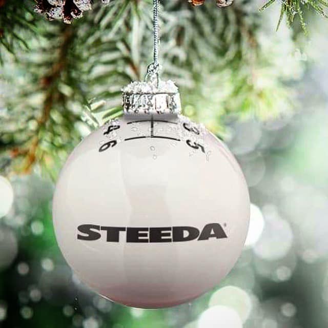 Steeda Performance Vehicles 8841 Macomb St, Grosse Ile Michigan 48138