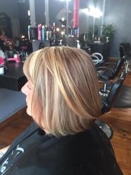 Lisa's Hair Design and Tanning of Newaygo