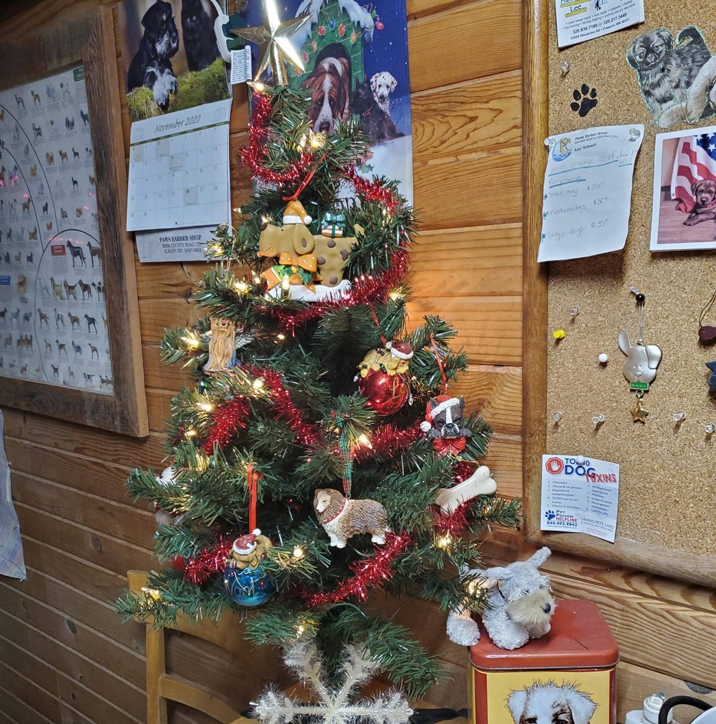 Paws Barber Shop Albany