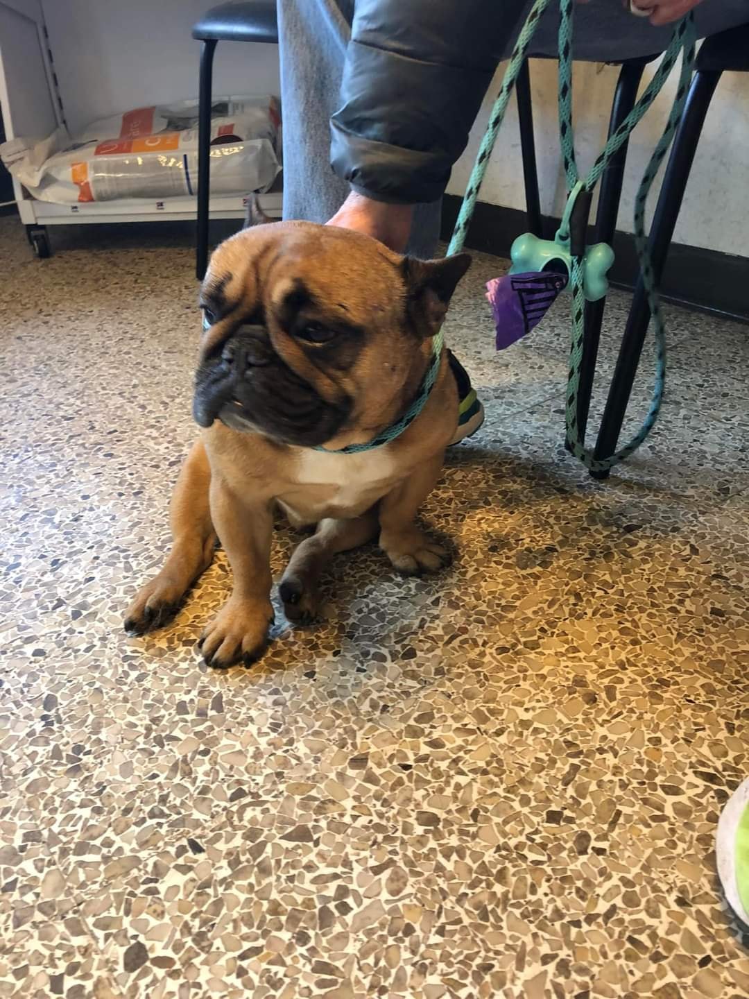 Johnson Lisa DVM Faribault