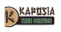 Kaposia Tree Service