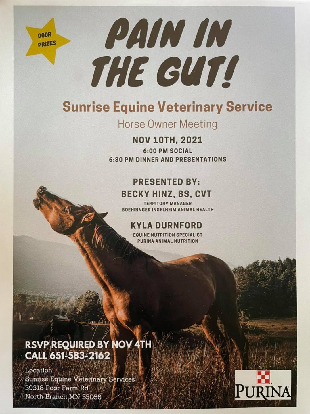 Sunrise Equine Veterinary Services 39318 Poor Farm Rd, North Branch Minnesota 55056