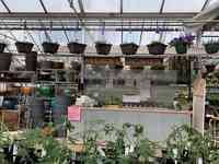 Anderson's Greenhouse & Florist