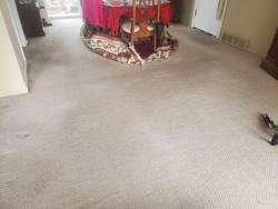 Aim Carpet & Air Duct Cleaning