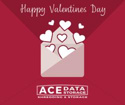 Ace Data Storage, Inc.