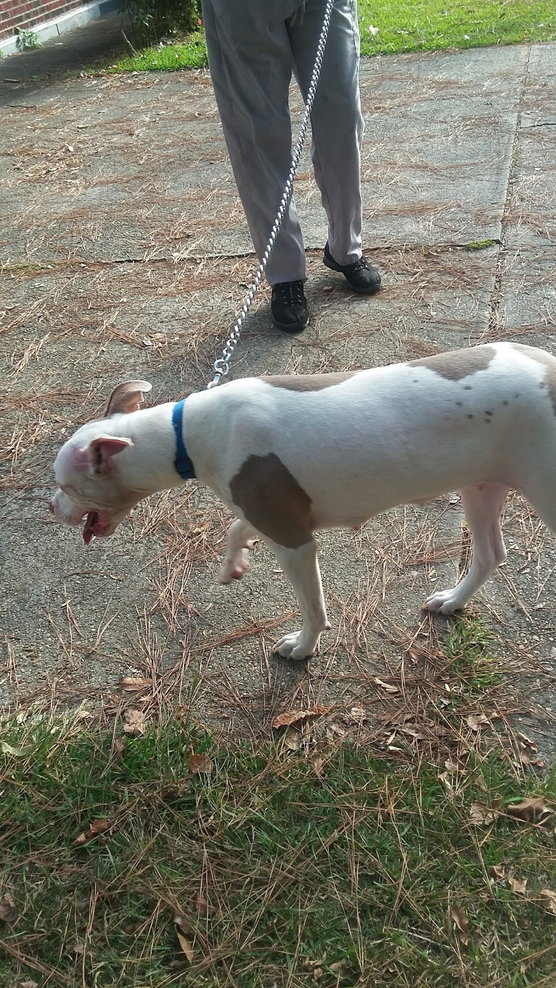 Johnny Young Plumbing