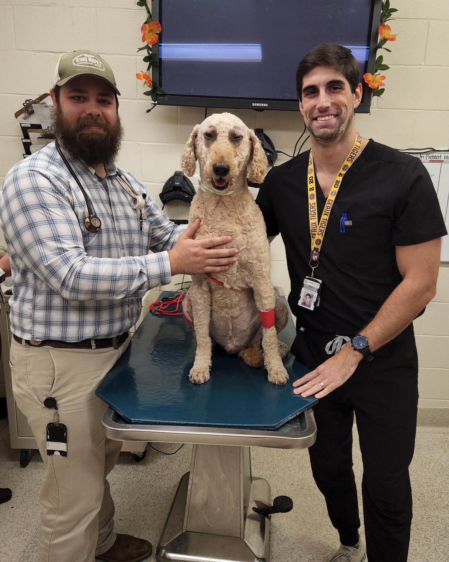 Mississippi State University College of Veterinary Medicine - Animal Health Center 240 Wise Ctr Dr, Mississippi State Mississippi 39762