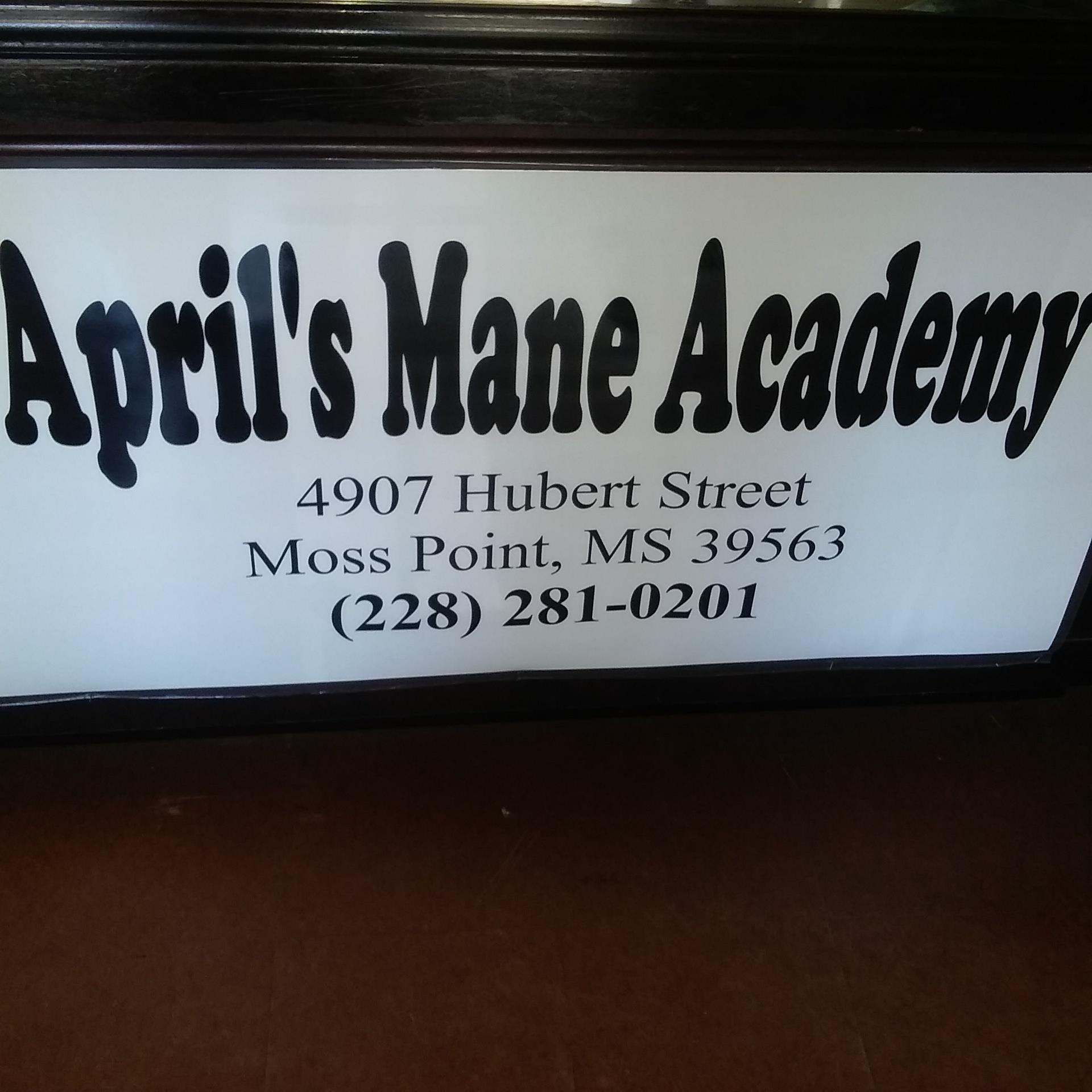 Aprils Mane Academy 4907 Hubert St, Moss Point Mississippi 39563