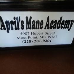 Aprils Mane Academy