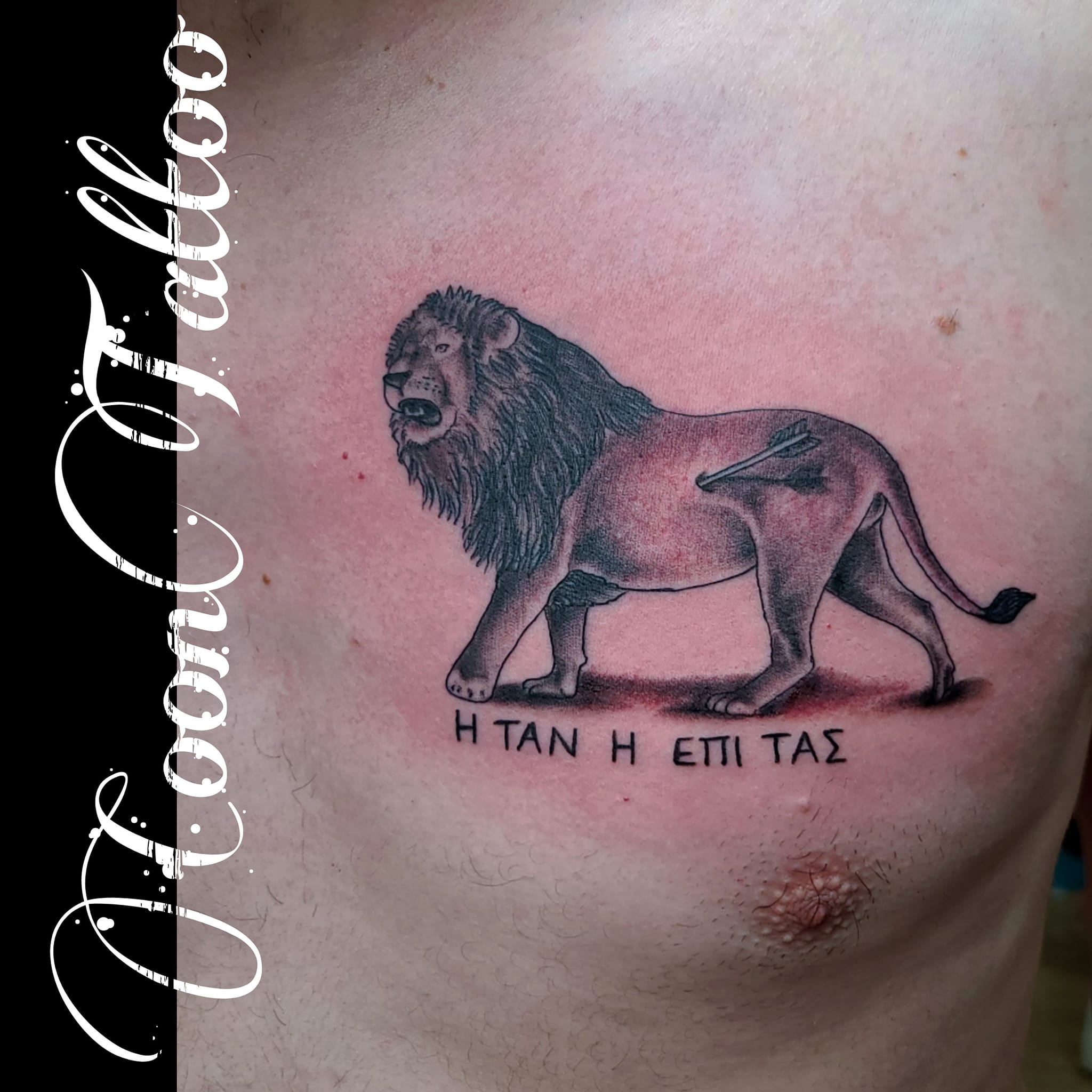 Coon Tattoo 26473 E Main St, West Point Mississippi 39773