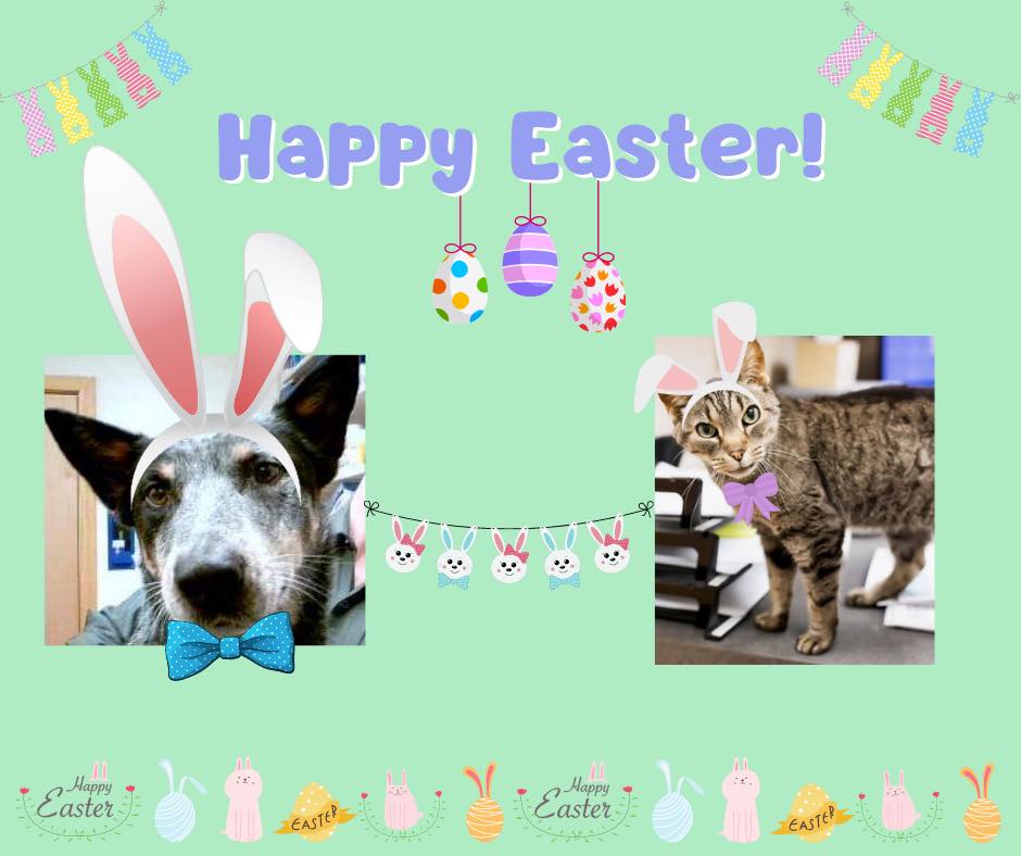 Bruner, Rob, Dvm - Big Sky Pet Ctr Billings