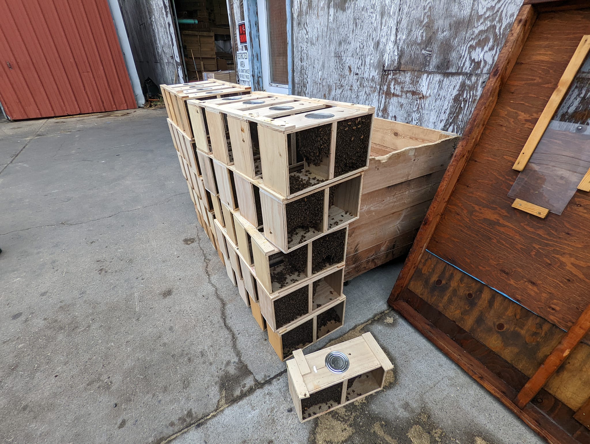 Western Bee Supplies Inc Polson