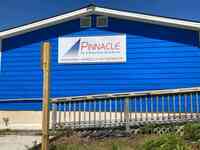 Pinnacle Tax & Accounting Services Inc