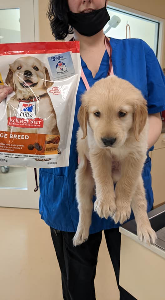 Souther Wayne Mobile Vet Services Goldsboro