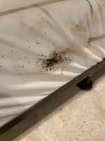 Eco Bed Bug Greensboro