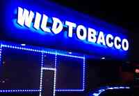 Wild Tobacco 2