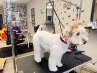 Bougie Pup Salon & Daycare
